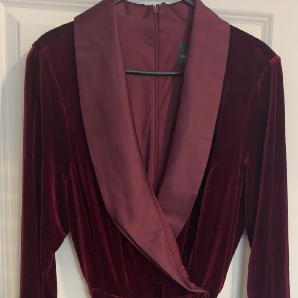 Adrianna Papell Burgundy Velvet Mini Dress